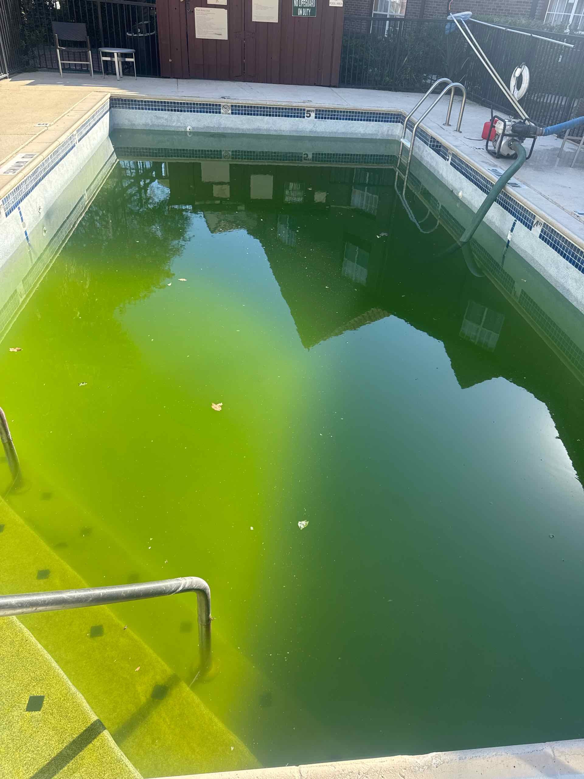 Green Pool Cleaning Services